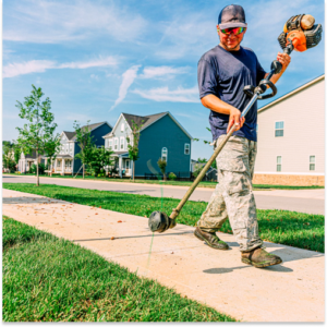 Trimming to being the landscape company workflow